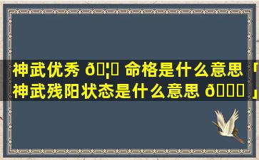 神武优秀 🦊 命格是什么意思「神武残阳状态是什么意思 🕊 」